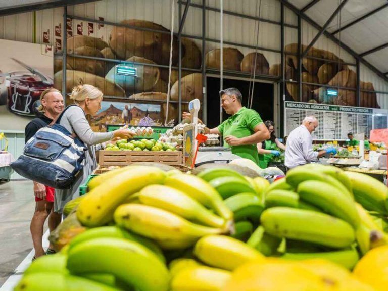 Inicio Mercado del agricultor (Las Chafiras)